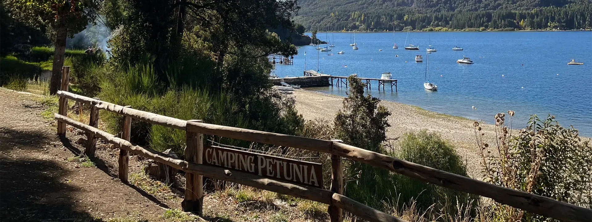 Camping Petunia